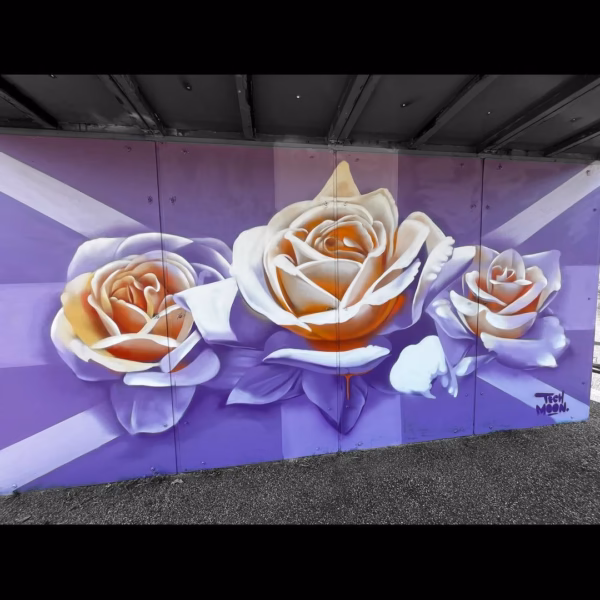 Chacewater Skate Park ramp with street art by Tech Moon. Roses and Union Flag in celebration of HM Queen's Platinum Jubilee